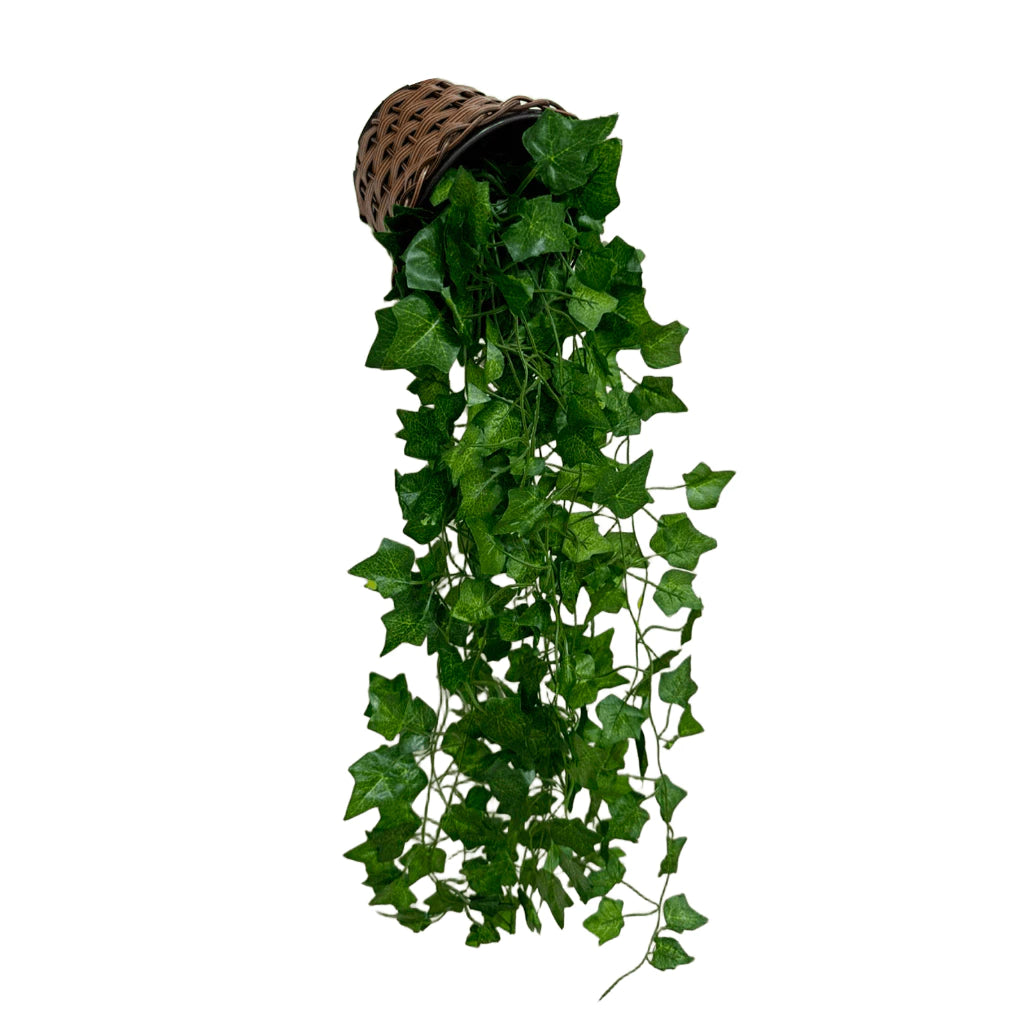 Planta Decorativa + Vaso Trançado Marrom 3 Pendentes Artificial Folhas de Hera e Jiboia