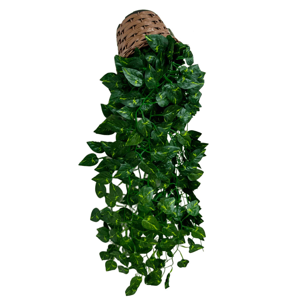 Planta Decorativa + Vaso Trançado Marrom 3 Pendentes Artificial Folhas de Hera e Jiboia