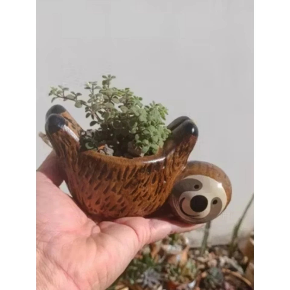 Vaso Bicho Preguiça para suculentas (cerâmica) sem arranjos!