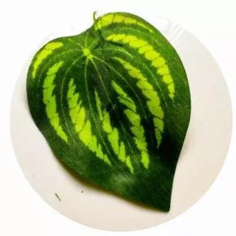 Planta Decorativa 2 Metros de Flores de folhas Artificial