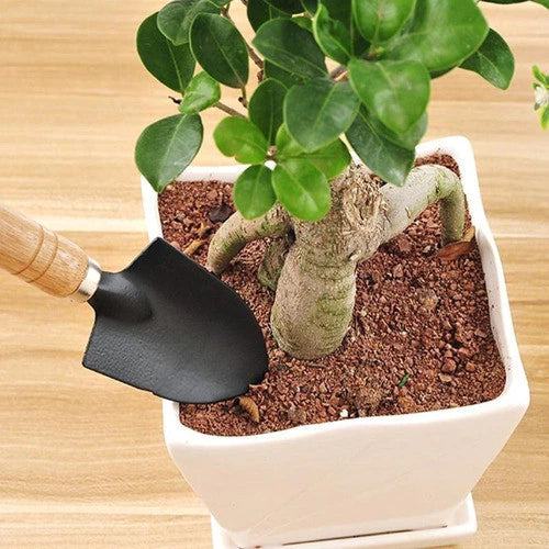 Kit Jardinagem Garfo Pazinha Larga Transplantador 3pç